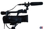 Search for shotgun microphones in the catalog