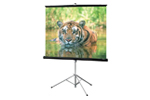 Search for projector screens in the catalog